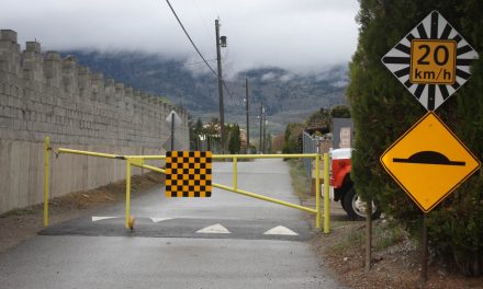 Council has to deal with complaints about Jackpine Lane traffic once again