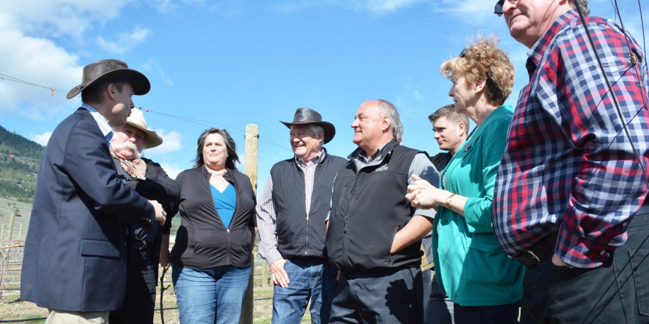Oliver wineries are thrilled with new designation for Golden Mile Region