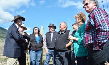 Oliver wineries are thrilled with new designation for Golden Mile Region