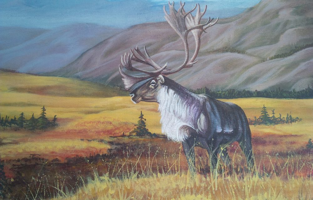 Wildlife at the art gallery in Oliver