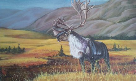 Wildlife at the art gallery in Oliver