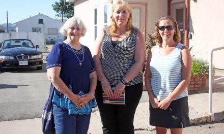 Council shows support to three ladies looking to establish The Giving Cupboard donation box in town