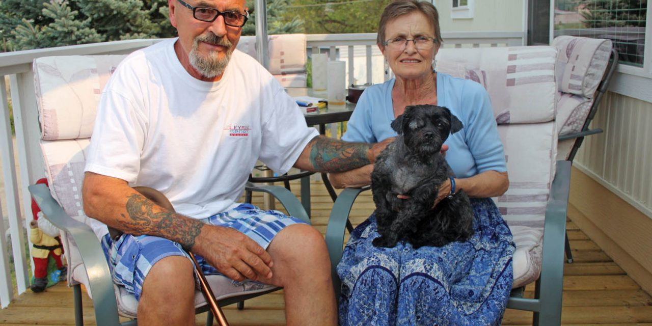 Osoyoos senior, little dog scarred in vicious pit bull attack