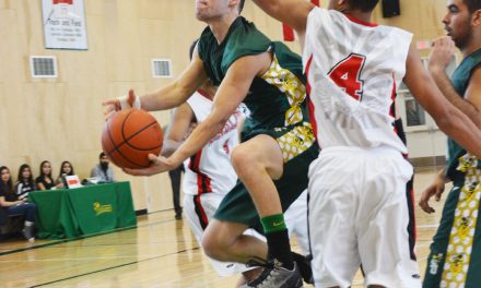 Hornets lose their sting