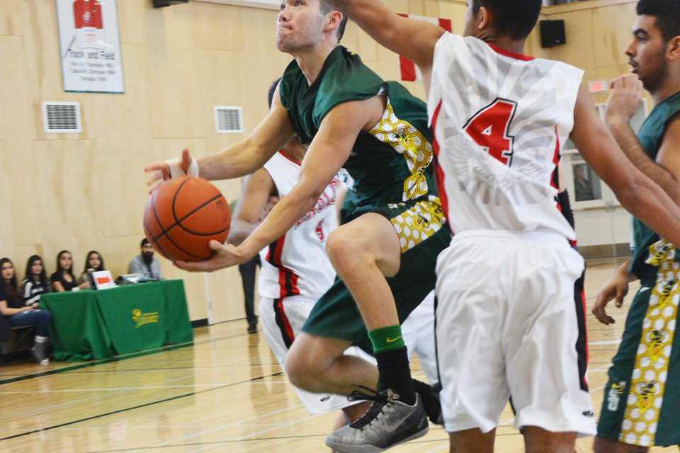 Hornets lose their sting