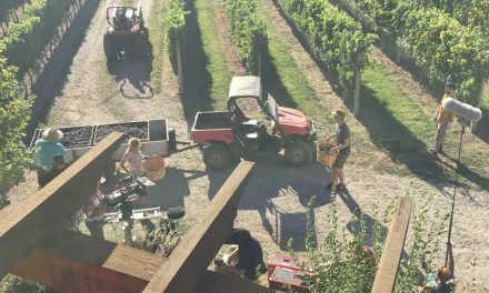 River Stone winery serves as backdrop for romantic film