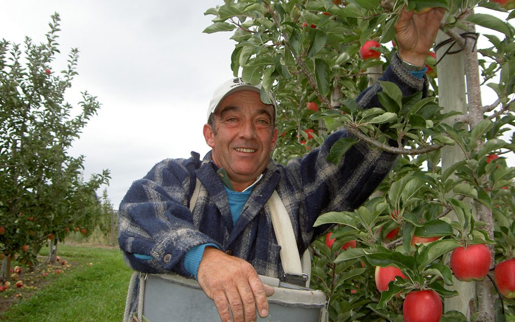 Joe’s death ‘big loss’ to fruit growing industry