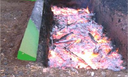 Knodel proposes air burners to reduce smoke