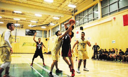 Hornets sting Rattlers in boys basketball game
