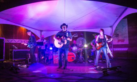 Pics and Sticks event brings in $50,000