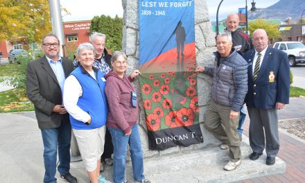 New banners show pride for Remembrance Day in Oliver