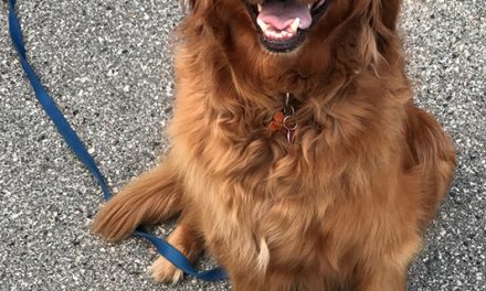 A sad farewell to Bentley