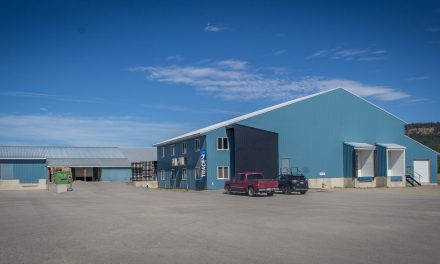 Cannabis beverages to be grown in Osoyoos’ back yard