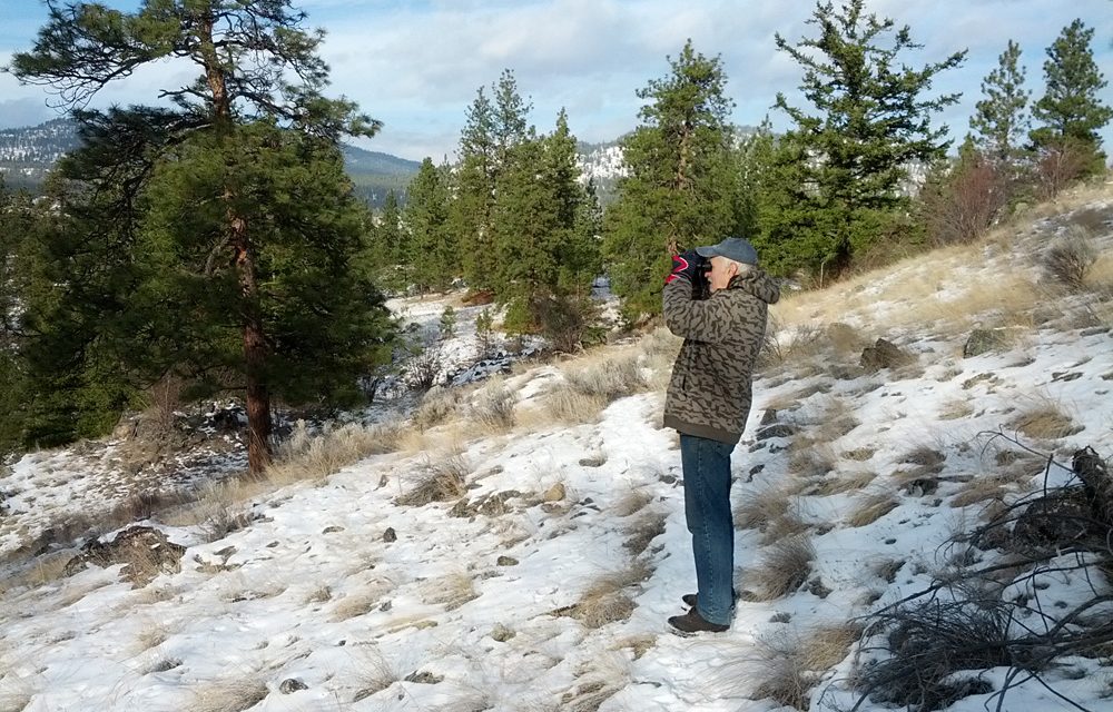Christmas Bird Count finds 21,224 birds of 110 species