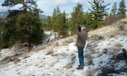 Christmas Bird Count finds 21,224 birds of 110 species