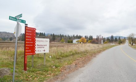 Wineries hire private security to address break-ins