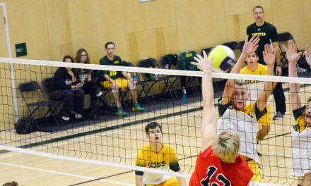 Hornets advance in volleyball tournament