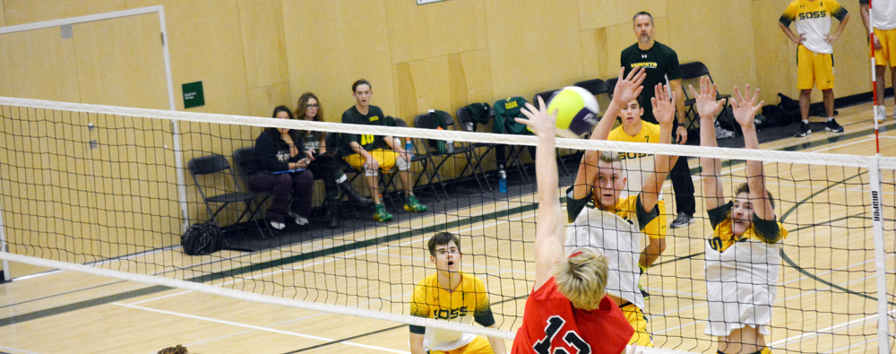 Hornets advance in volleyball tournament