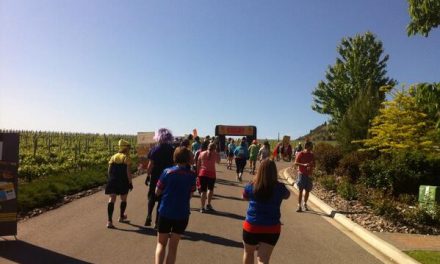 Half Corked Marathon 2014 Timeline
