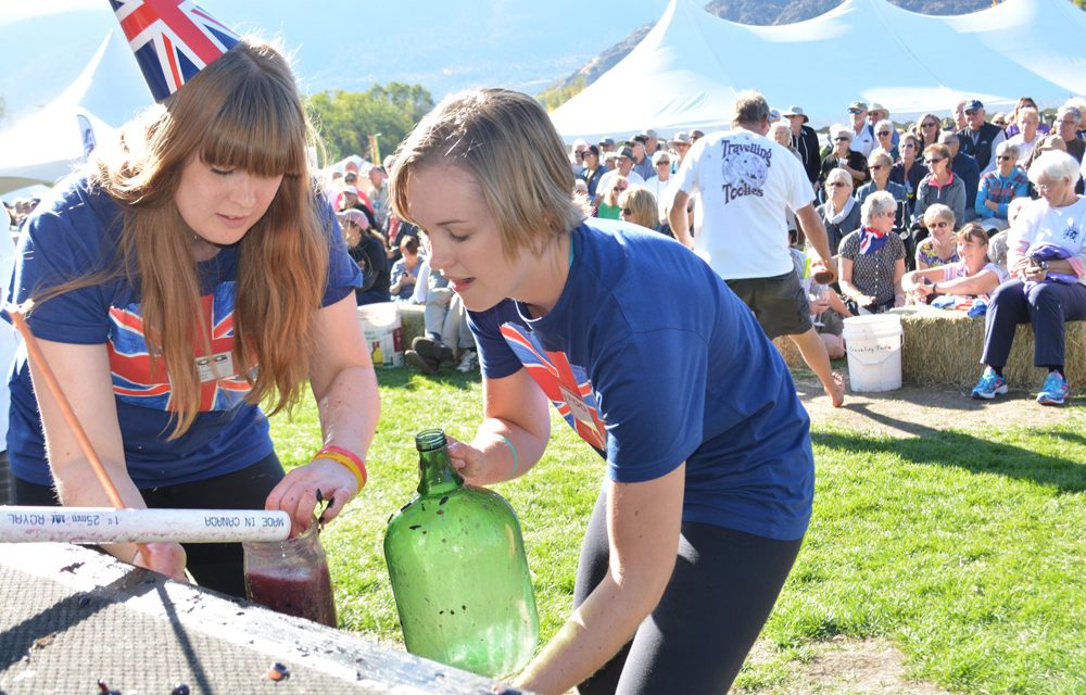 Festival of the Grape showcases best of region