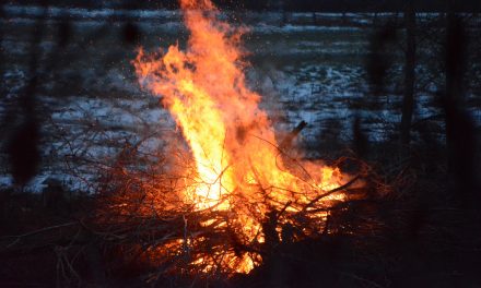 Open fire ban starts Wednesday