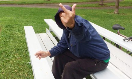 Bylaw officers’ mettle tested this summer