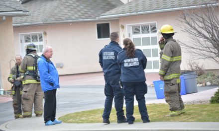 Firefighters called to carbon monoxide alarm