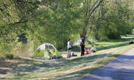 Bylaw-flouting transients worry locals