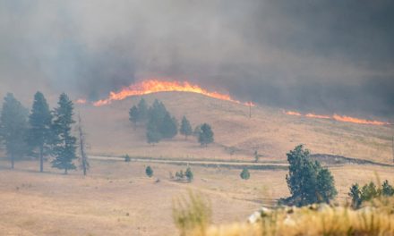 Crews busy with Rock Creek/US-Canada border fires