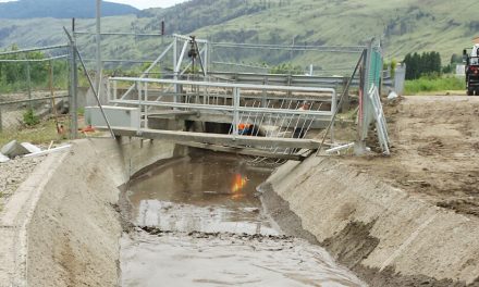 Water breach shuts down system 4
