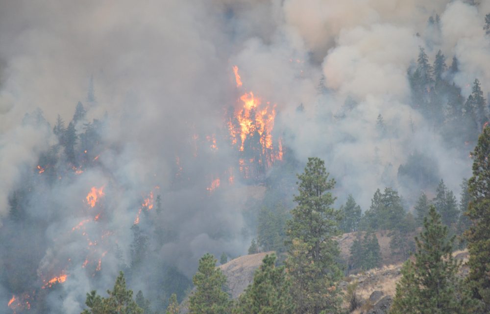 Hunters asked to stay away from fire ground