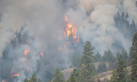 Hunters asked to stay away from fire ground
