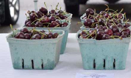 B.C. farms producing less fruit due to COVID-19, growers say