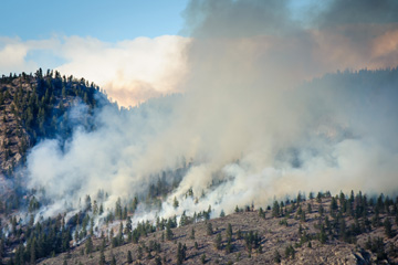 Regional district imposes fire ban
