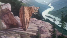 Oliver Art Gallery features wildlife paintings