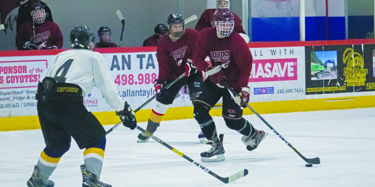 Coyotes prospects hit the ice at spring camp