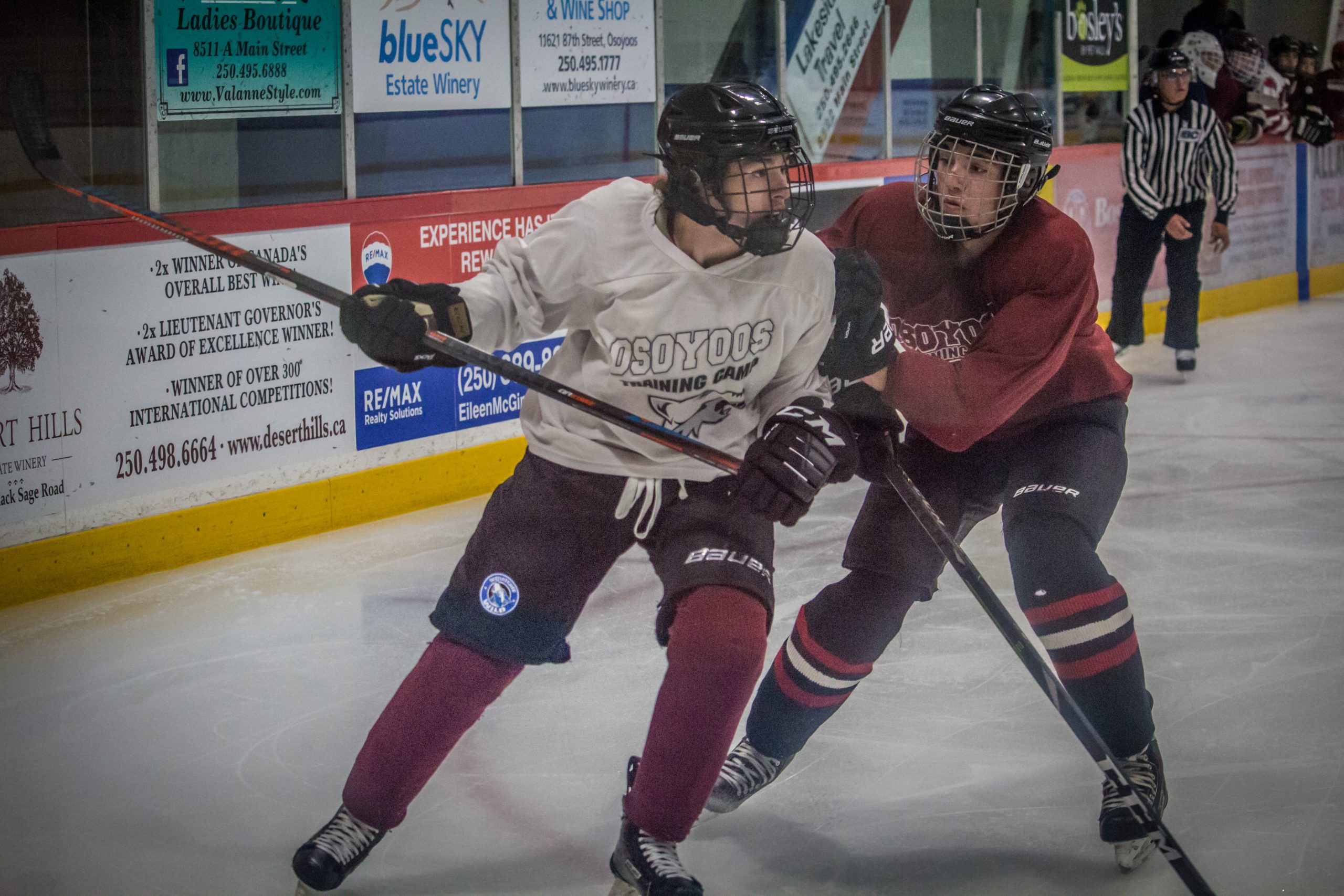 Coyotes trim roster as season opener approaches - TimesChronicle.ca