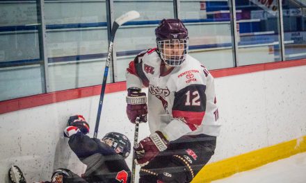 Coyotes clinch playoff spot