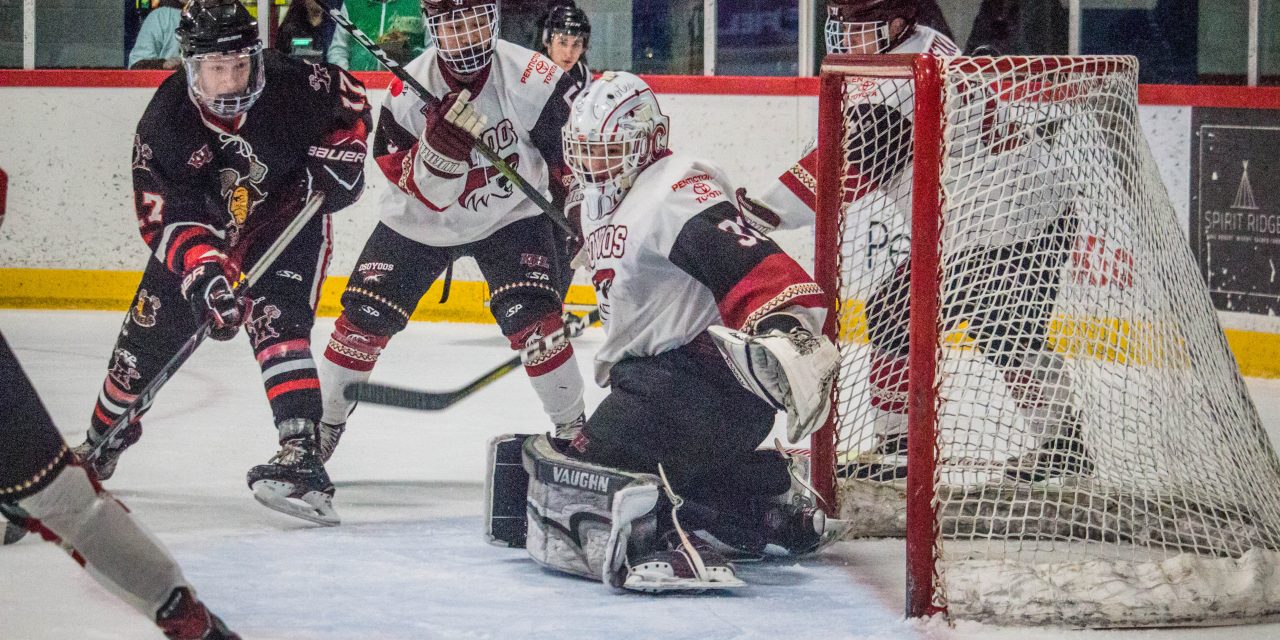 Coyotes’ season ends, but not without a fight