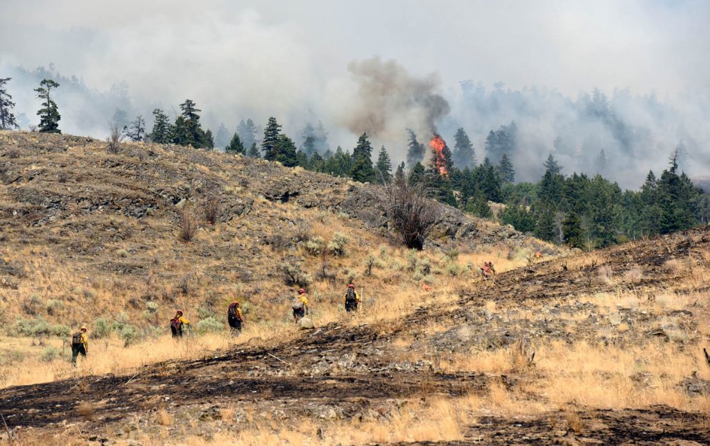 Firefighters work to control the fire at Kobau Mountain Road on Thursday. They were doing controlled burnouts to deprive the fire of the fuel it needs to spread. (Richard McGuire photo) 