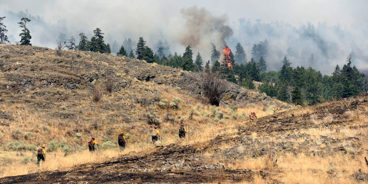 UPDATE: Testalinden Creek fire grows to 2,500 hectares, but is now 50 per cent contained
