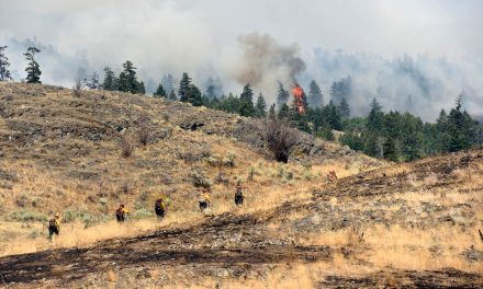 UPDATE: Testalinden Creek fire grows to 2,500 hectares, but is now 50 per cent contained