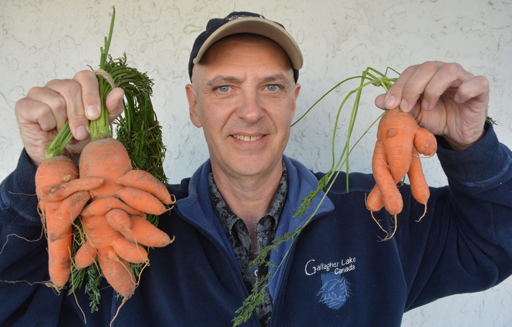 Weird Veggies highlight potato contest of Ye Olde Welcome Inn