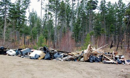 New website targets illegal dumpsites