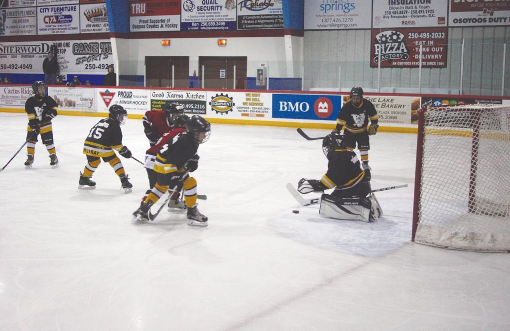 The annual South Okanagan Minor Hockey Association Novice Tournament was a huge success this past weekend as 16 teams competed in the annual tournament that took place from Friday to Sunday at the Sun Bowl Arena in Osoyoos and Oliver Arena. Three local teams competed in the tournament, including the SOMHA Red Rockets, Storm Troopers and Black Dragons. In action above, the Red Rockets played a terrific game against the Vernon Snipers on Friday afternoon at the Sun Bowl Arena. Players from all 16 teams not only enjoyed great hockey action on the ice, but they also participated in a huge tournament banquet held Saturday evening at the Greenside Grill Restaurant at the Osoyoos Golf Club. (Keith Lacey photo)
