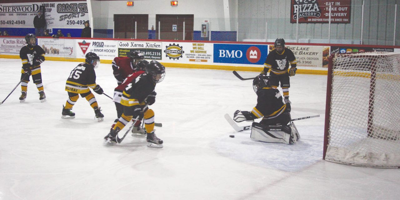 Novice hockey tourney is big success