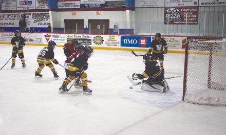 Novice hockey tourney is big success