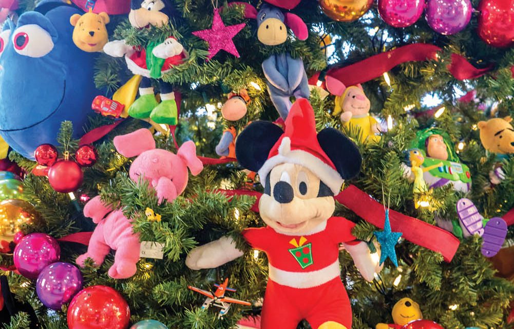 Many locations are available to help recycle Christmas Trees and lights