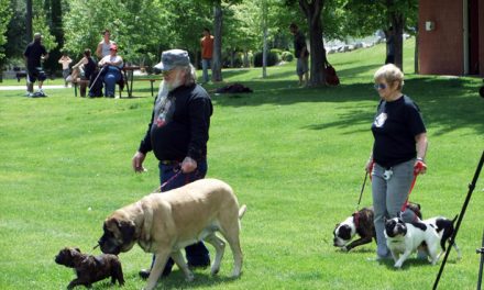 Special zoning required for Oliver dog pound to be built