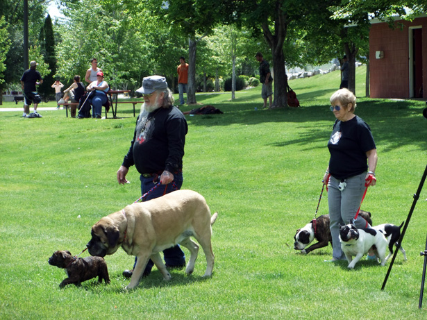 Special zoning required for Oliver dog pound to be built